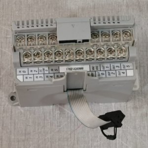 USED Allen Bradley 1762-IQ8OW6 MicroLogix Input Relay LOT 2